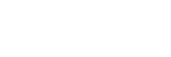 BLINKNEWSROOM.COM @ DATA2